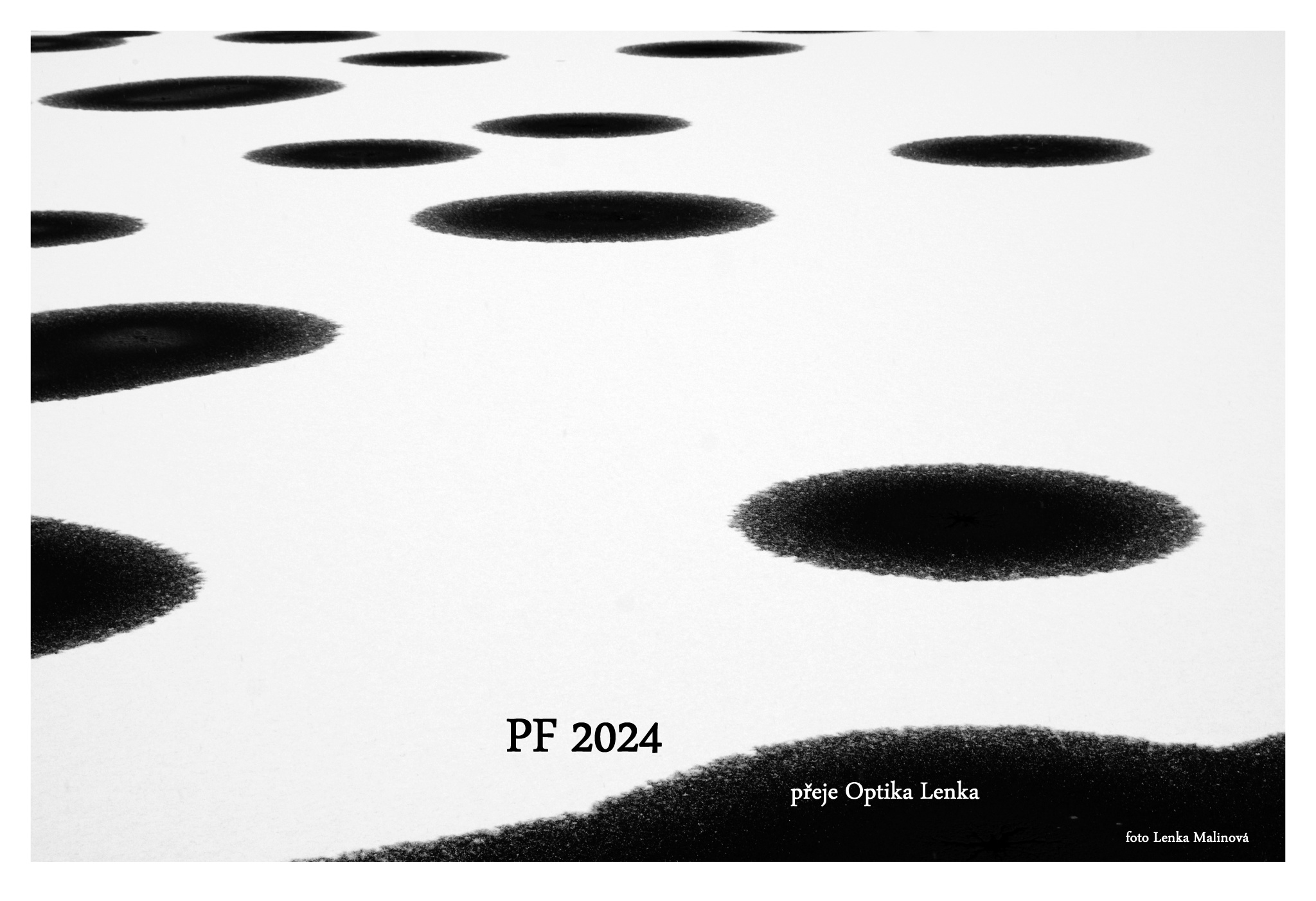 PF 2024